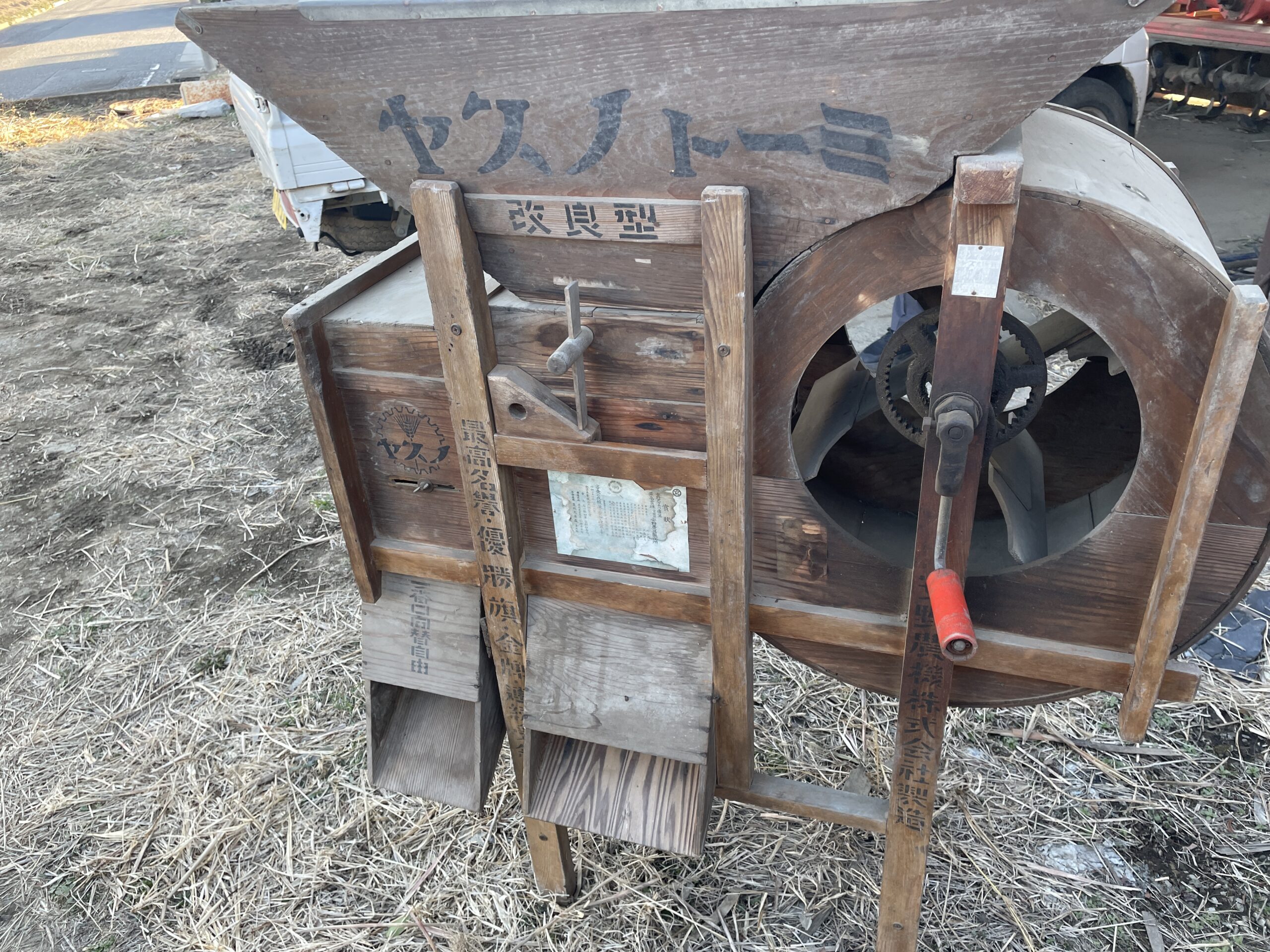 ヤスノトーミ（側面）