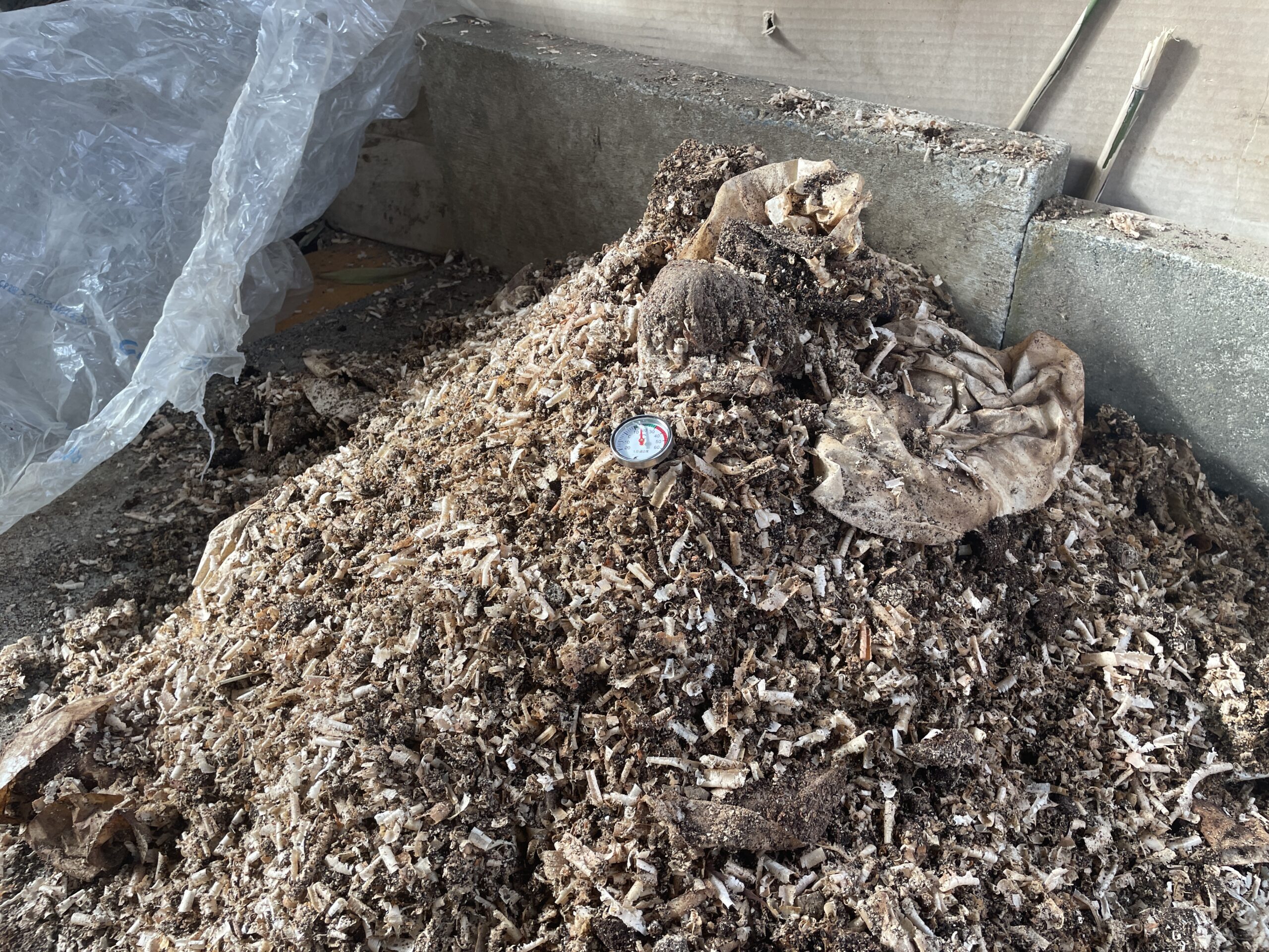 珈琲カスと大鋸屑から生まれる循環！