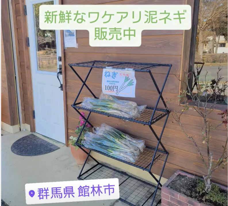 新鮮な「訳あり泥ネギ」を100円で店頭販売中（銀豆珈琲さん店頭）