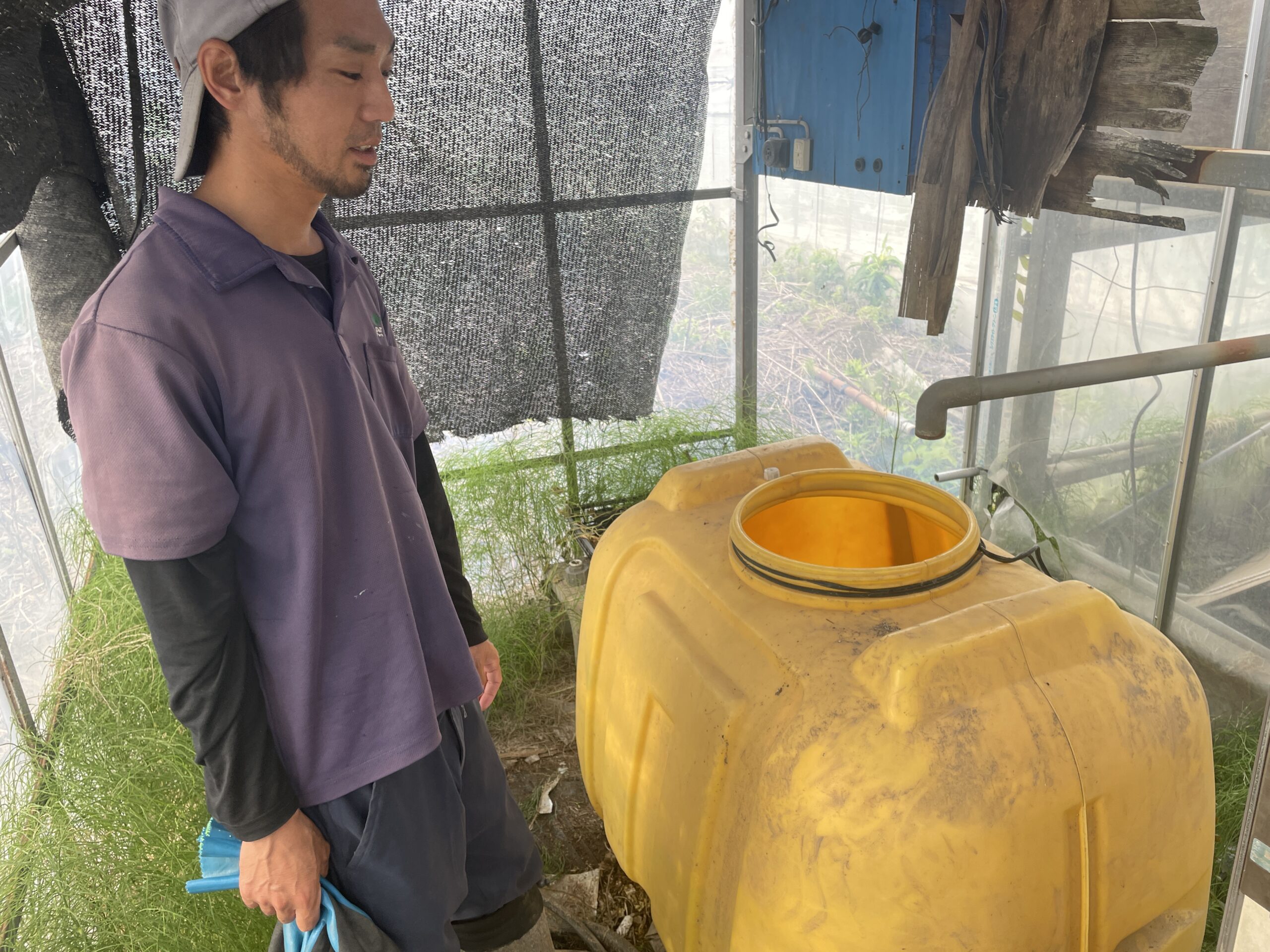 ぱくぱく農園のキュウリハウスで作業を行う様子